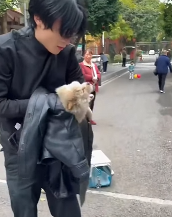 B3003005 A wounded puppy with its head tilted to one side was abandoned on the street.I rescued him and then (Part2)