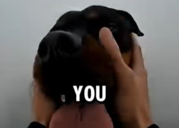 L0404009 My Dog Saved Lives… And I Got Arrested For It (Part 2)