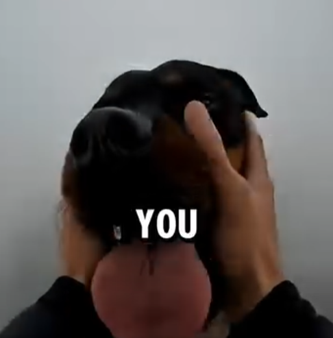 L0404009 My Dog Saved Lives… And I Got Arrested For It (Part 2)