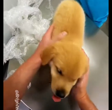E2404002 Rich Mom Karen’s Evil Lie.. I Made Her Regret It😱🐶 (Part 2)