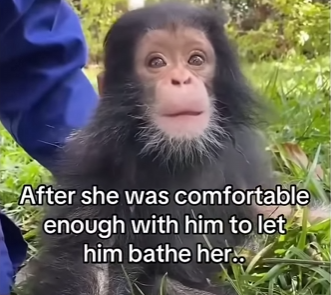 H2704002 He turned back… and saved more than a life (Part 2)