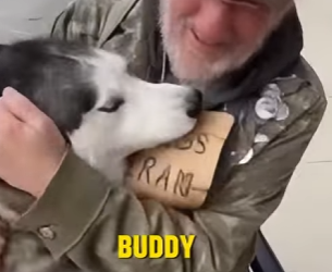 E0104004 She Stole a Homeless Veteran’s Husky… 💔🐾 (Part 2)