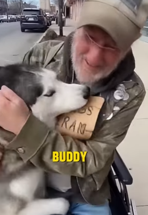 E0104004 She Stole a Homeless Veteran’s Husky… 💔🐾 (Part 2)