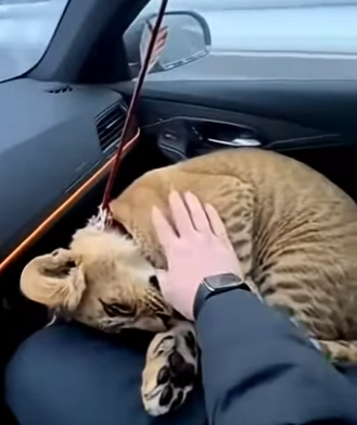 L0704008 When nature trusts a human… miracles happen 🐾❤️ (Part 2)