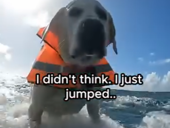 W0504003 my dog fell in the ocean (Part 2)
