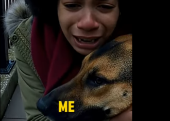 E0804012 She Was About to Lose Her Life… A Dog Saved Her 🚨🐕 (Part 2)