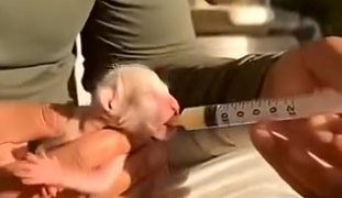 L3103005 Mother Lion Beat Her Hairless Cub and Left Him to Die… So I Took Him Home (Part 2)
