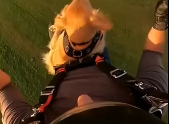 E1104001 Would MrBeast spend money to save this life… or just film it? 🎥🐾 (Part 2)