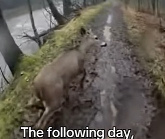 G1504002 Silence vs action (Part 2)