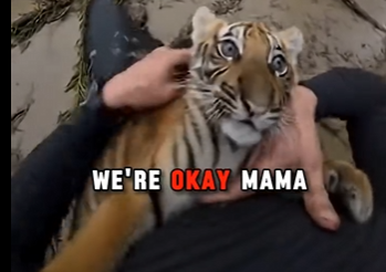 O1504011 Would you save this animal for free? (Part 2)