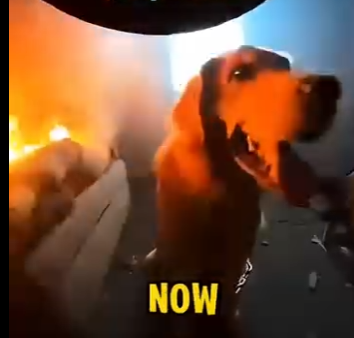 E0205011_POV_ Firefighter Trapped in Fire, Then a Miracle Happened 🔥🐶 (Part 2)