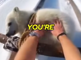 E0205012_Mother Polar Bear SAVES Me after I Rescued Her Cub! 🐻‍❄️😭 (Part 2)