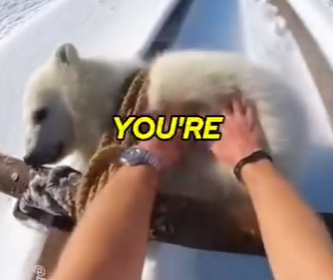 E0205012_Mother Polar Bear SAVES Me after I Rescued Her Cub! 🐻‍❄️😭 (Part 2)