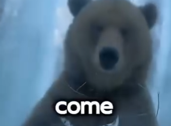E0205003_He Found a Bear Frozen in Ice… What Happened Next Was INSANE 🐻🤯 (Part 2)