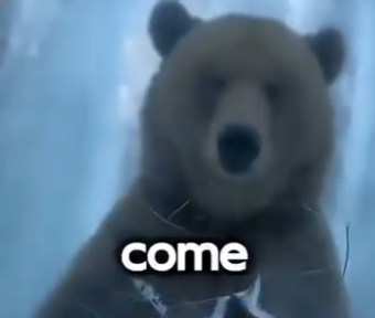 E0205003_He Found a Bear Frozen in Ice… What Happened Next Was INSANE 🐻🤯 (Part 2)