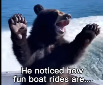 H0305010_Bears Love Boats Too 😅 (Part 2)