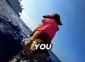 E0405008 I saved this Corgi from a Shark Cage!(Part 2)