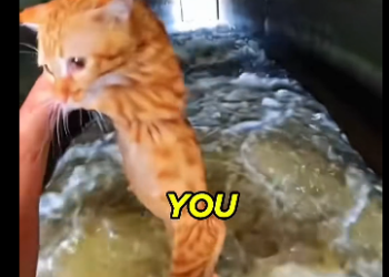 E0805003_“You Scratched My Bag_” So She Did This..� _part2