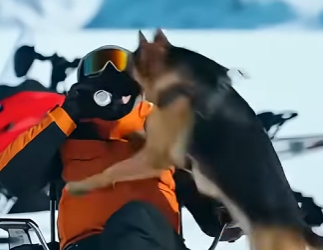 L0505009_Great Save! 🐕Dog Warned Explorer Before the Avalanche Hit (Part 2)