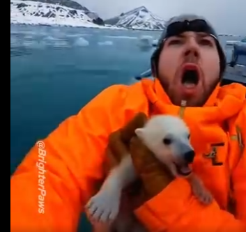 E0805008_Saving a Baby Bear from Avalanche and MEGALODON Attack 🌊🦈  (Part 2)