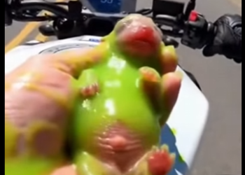 D0605010_Saving a Newborn Puppy from Green Slime! 🥺💚 (Part 2)