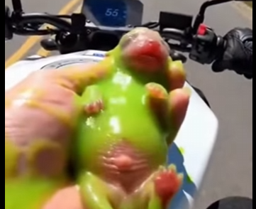 D0605010_Saving a Newborn Puppy from Green Slime! 🥺💚 (Part 2)