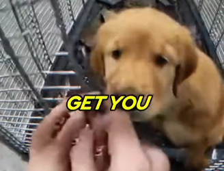 E1005005_She Threw a Puppy in the TRASH_! (Wait for the End) (Part 2)