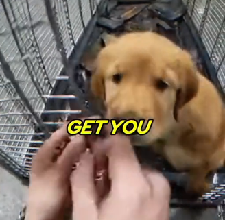 E1005005_She Threw a Puppy in the TRASH_! (Wait for the End) (Part 2)