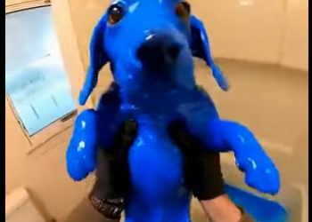 E1205002_POV I found a dog completely covered in DEEP blue gel… so I took him and ran 💙🐶 (Part 2)