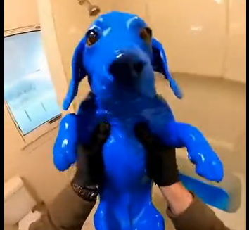 E1205002_POV I found a dog completely covered in DEEP blue gel… so I took him and ran 💙🐶 (Part 2)