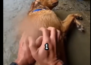 E3004001 A second of help or a lifetime of regret? (Part 2)