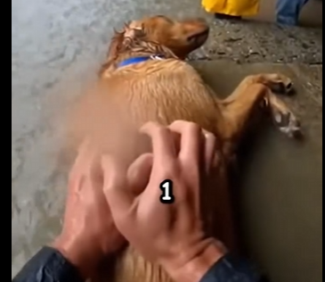 E3004001 A second of help or a lifetime of regret? (Part 2)